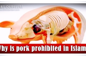 pork-prohibited